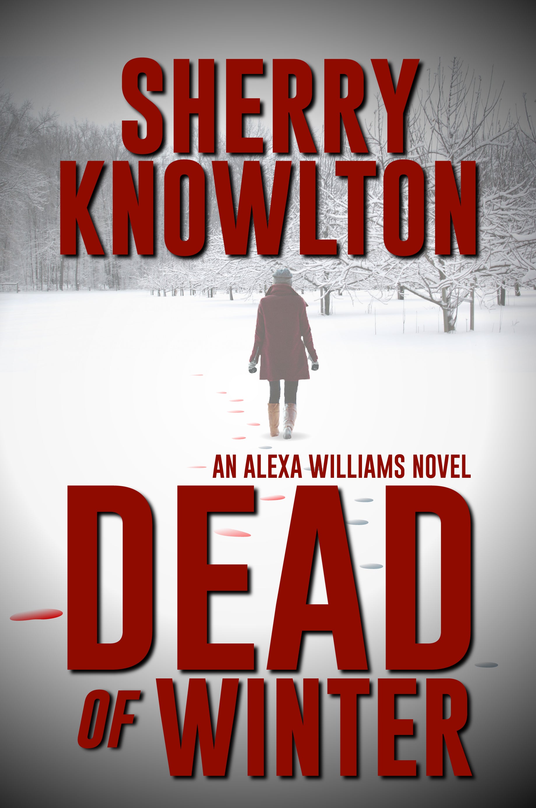 Sherry Knowlton’s “Dead of Winter” tops Milford House Press bestsellers for February