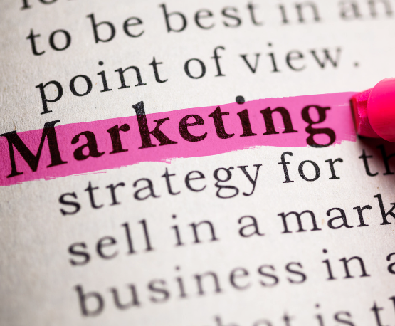 Navigating the Digital Landscape: Current Social Media Trends Shaping the Book World