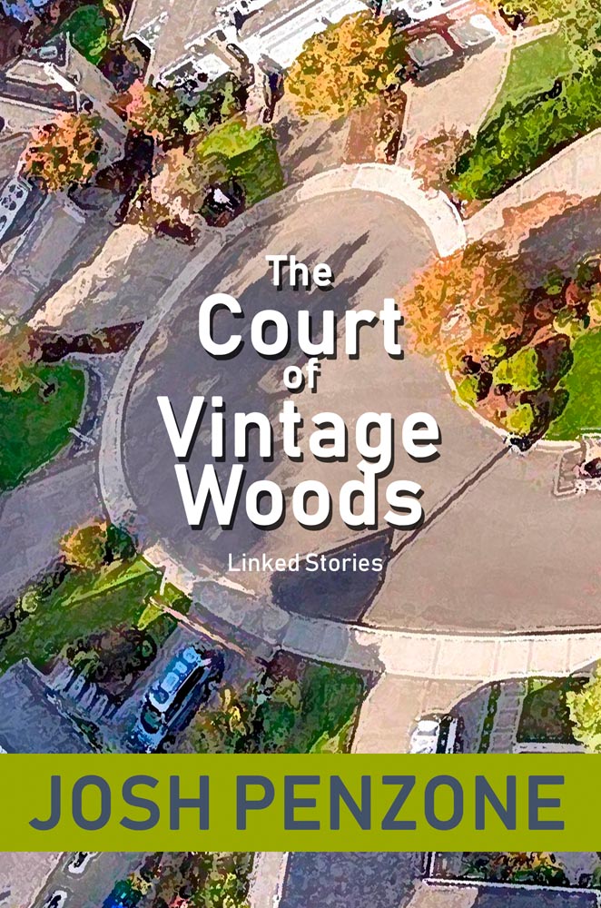 Josh Penzone’s “The Court of Vintage Woods” is the Brown Posey Press bestseller for October