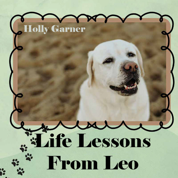 Life Lessons from Leo