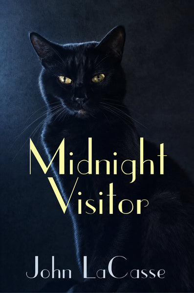 Midnight Visitor