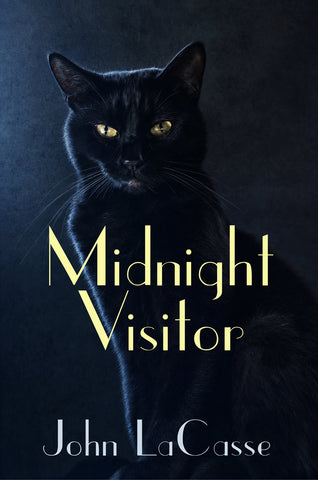 Midnight Visitor