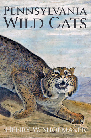 Pennsylvania Wild Cats