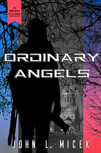 Ordinary Angels