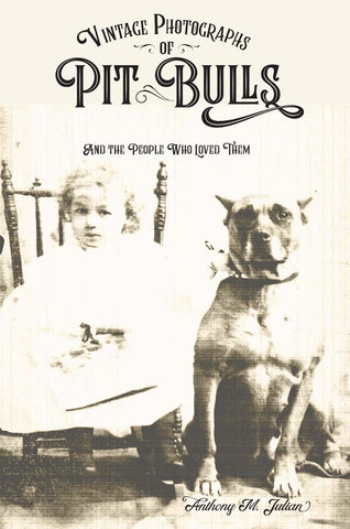 Vintage Photographs of Pit Bulls