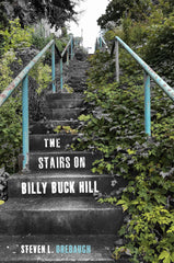 The Stairs on Billy Buck Hill