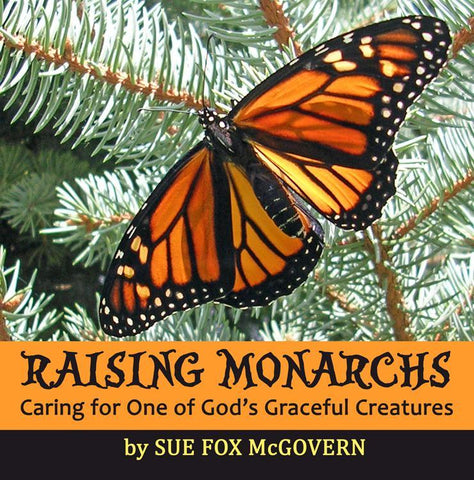 Raising Monarchs